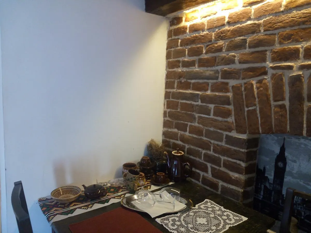 Lviv Amazing Rooftop Apartment