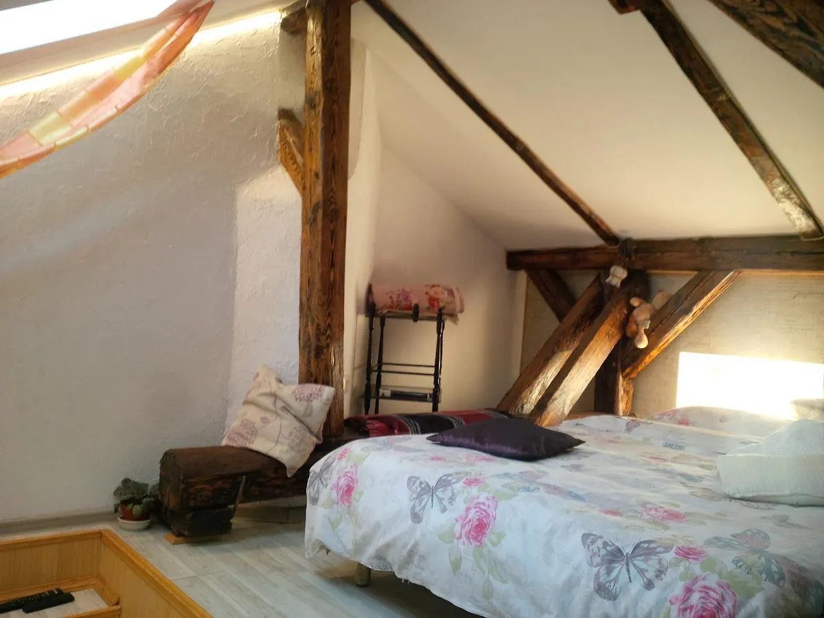 Lviv Amazing Rooftop Apartment