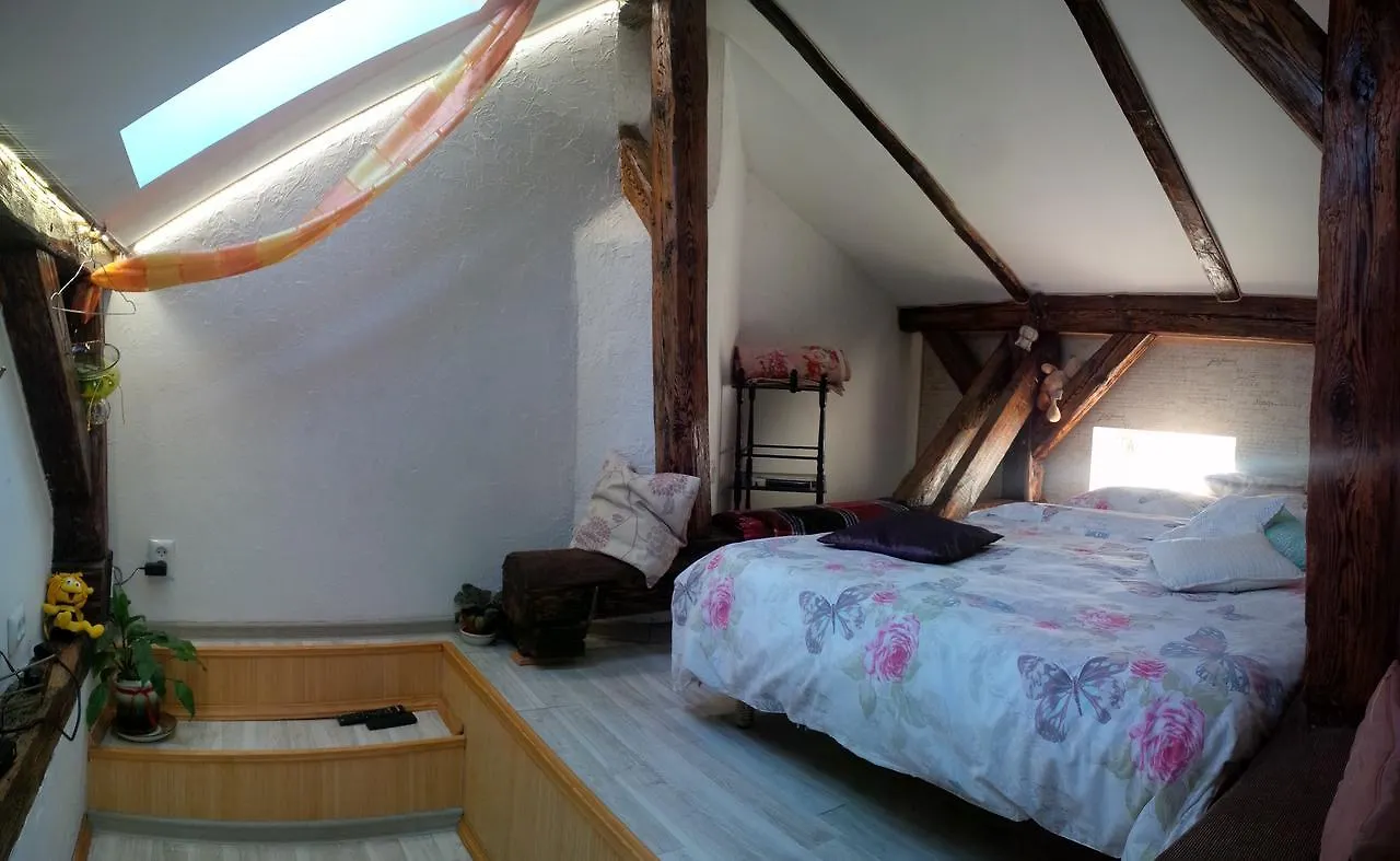 Lviv Amazing Rooftop Apartment