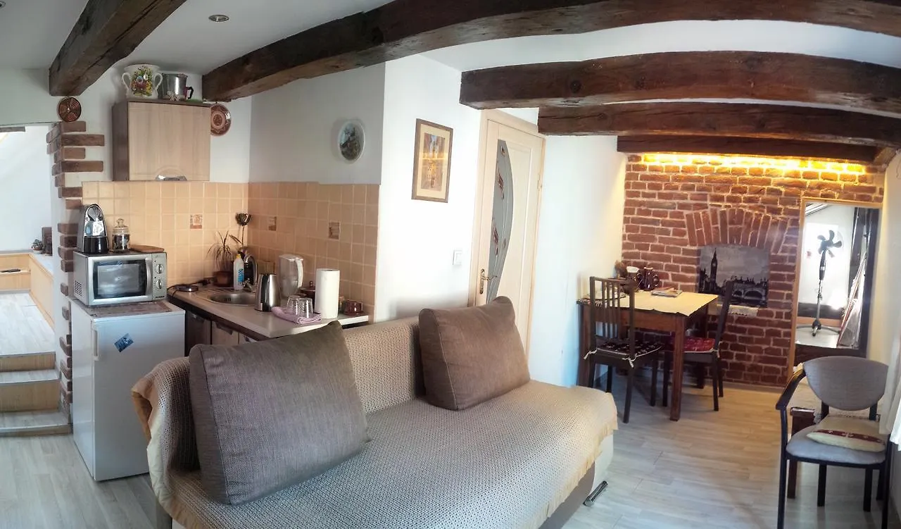 Lviv Amazing Rooftop Apartment