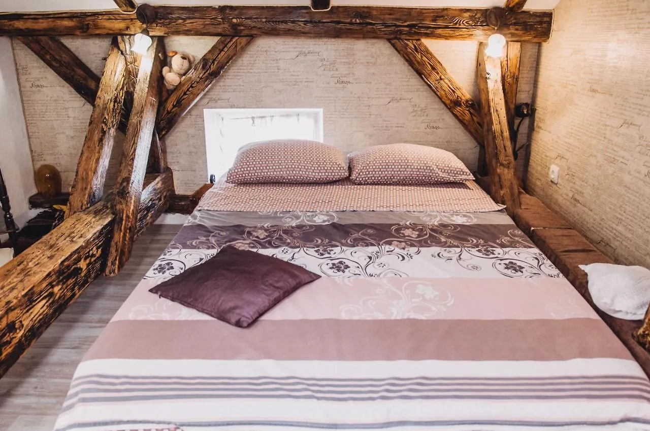 Lviv Amazing Rooftop Apartment