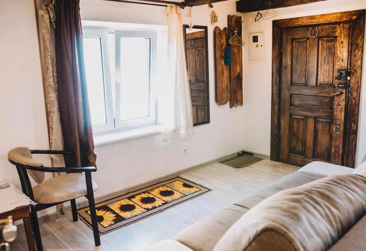 Lviv Amazing Rooftop Apartment